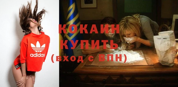 мет Пересвет