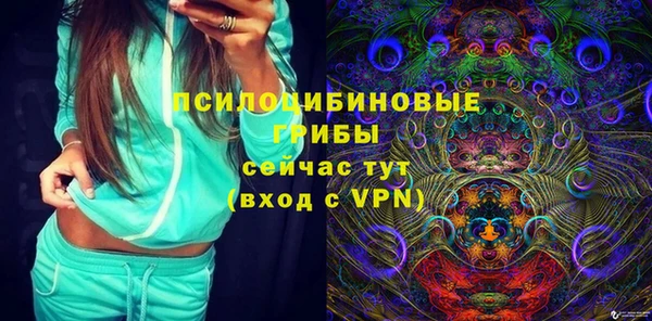 бошки Абинск